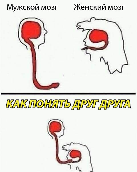 Подборка интересных и веселых картинок