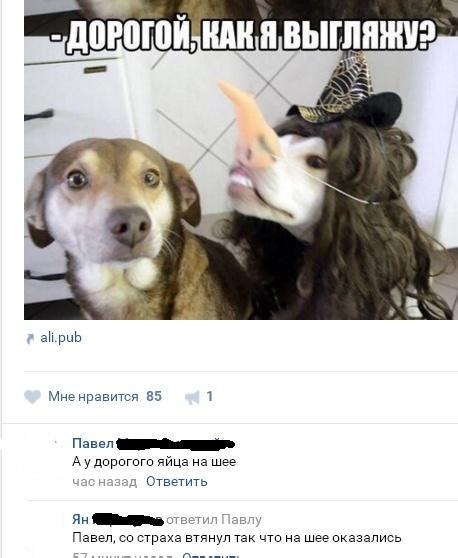 Смешные комментарии из соц.сетей