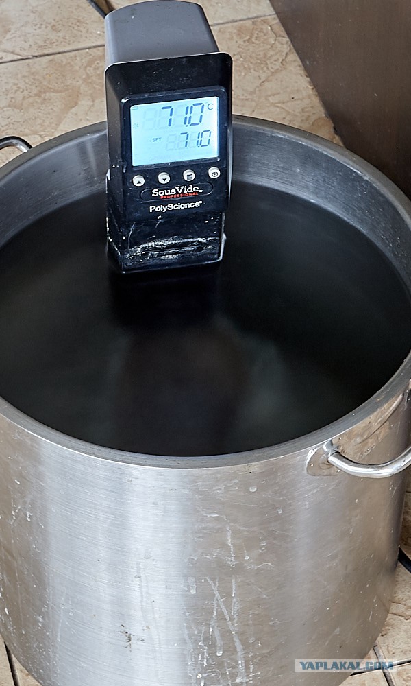 Стейк из хвостика на гриле (Пародия на пародию Пародии Апельсинии)