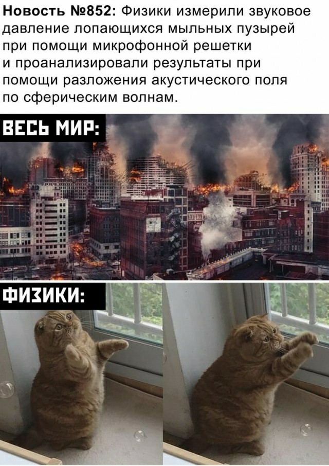 До печенок достали.