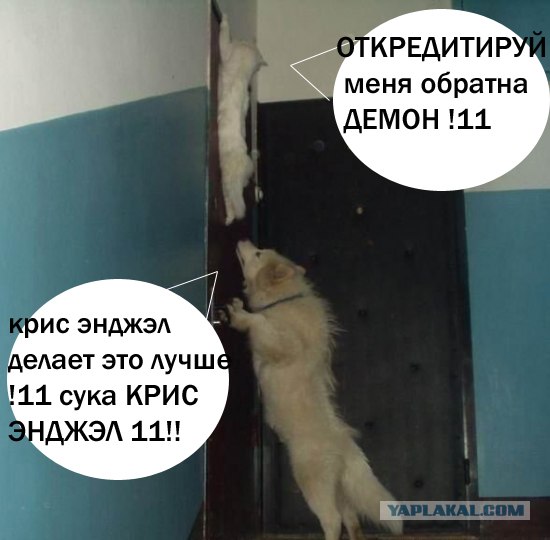 Фотожаба: Загнал сволочь!