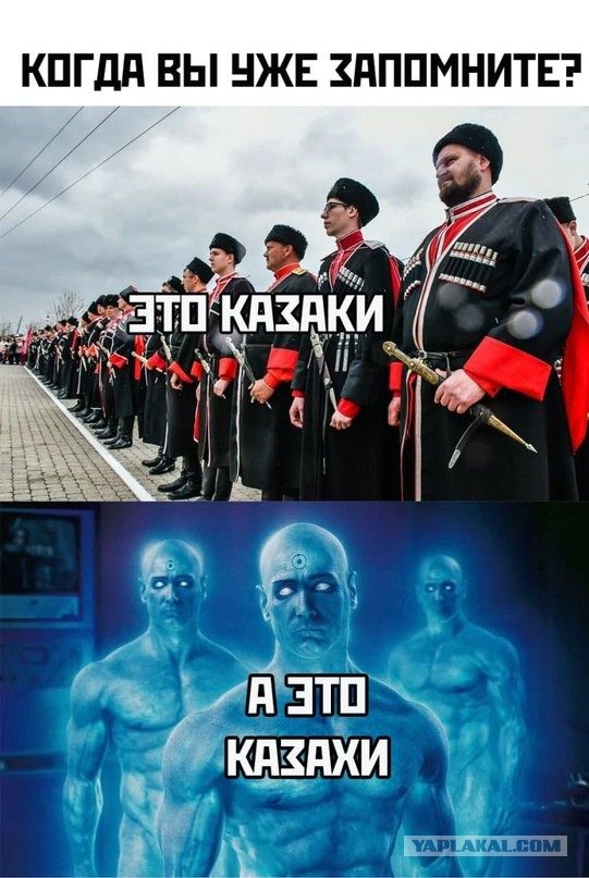 Весёлый полтишок 14.04