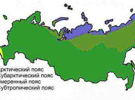 Ливень в Одессе