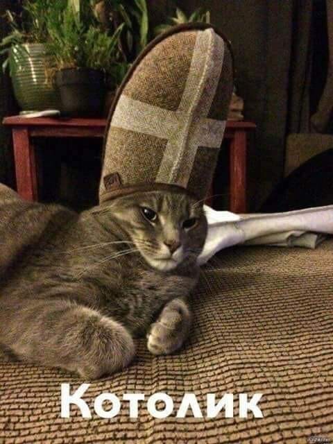 Баянисто-небаянистый юмор 17.11.21