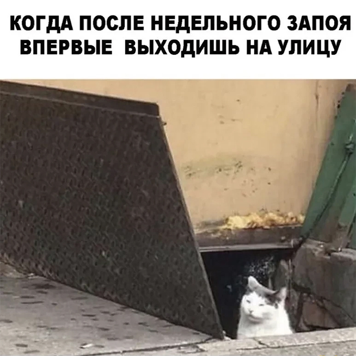 16647373.jpg