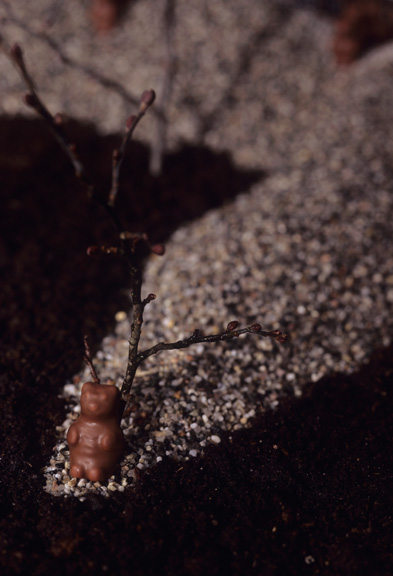 Фото от Rune Guneriussen