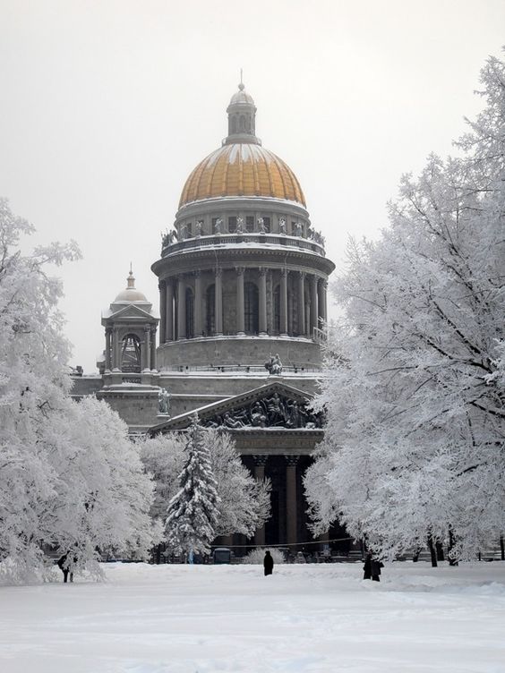 Прикольные и просто красивые картинки 27.12.2022