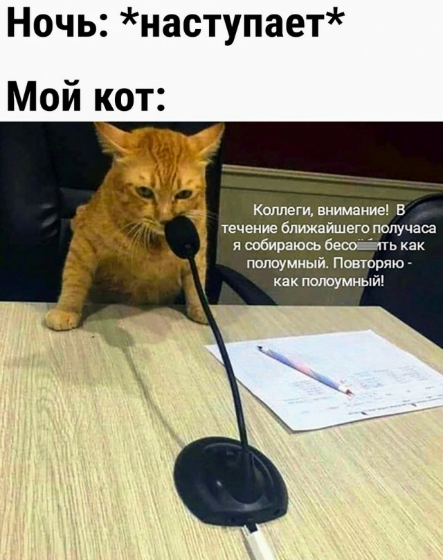Картинки и мемы, всем хороших выходных