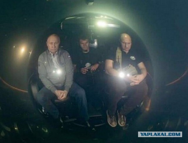 Ученые засняли рыбу на рекордной глубине — 8336 метров
