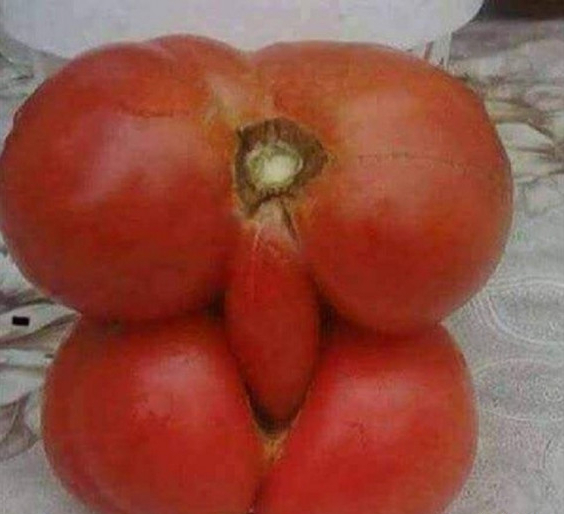 Кто хочет баклаЖанну?