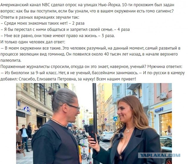 Весёлый полтишок 05.08.24