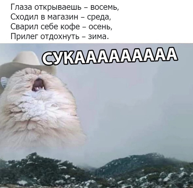 Веселые картинки в понедельник (23.12)