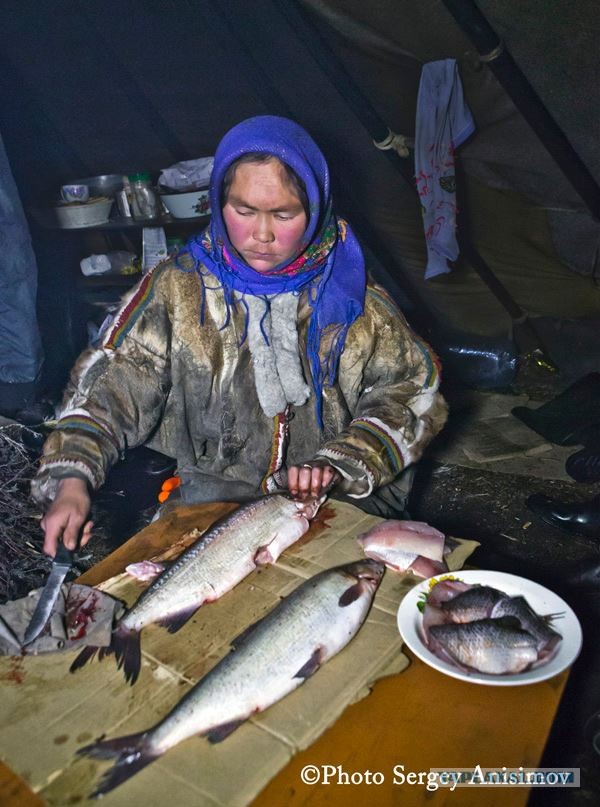 Красота! Лето на Ямале. Фото