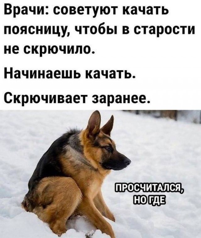 Сутулая псина