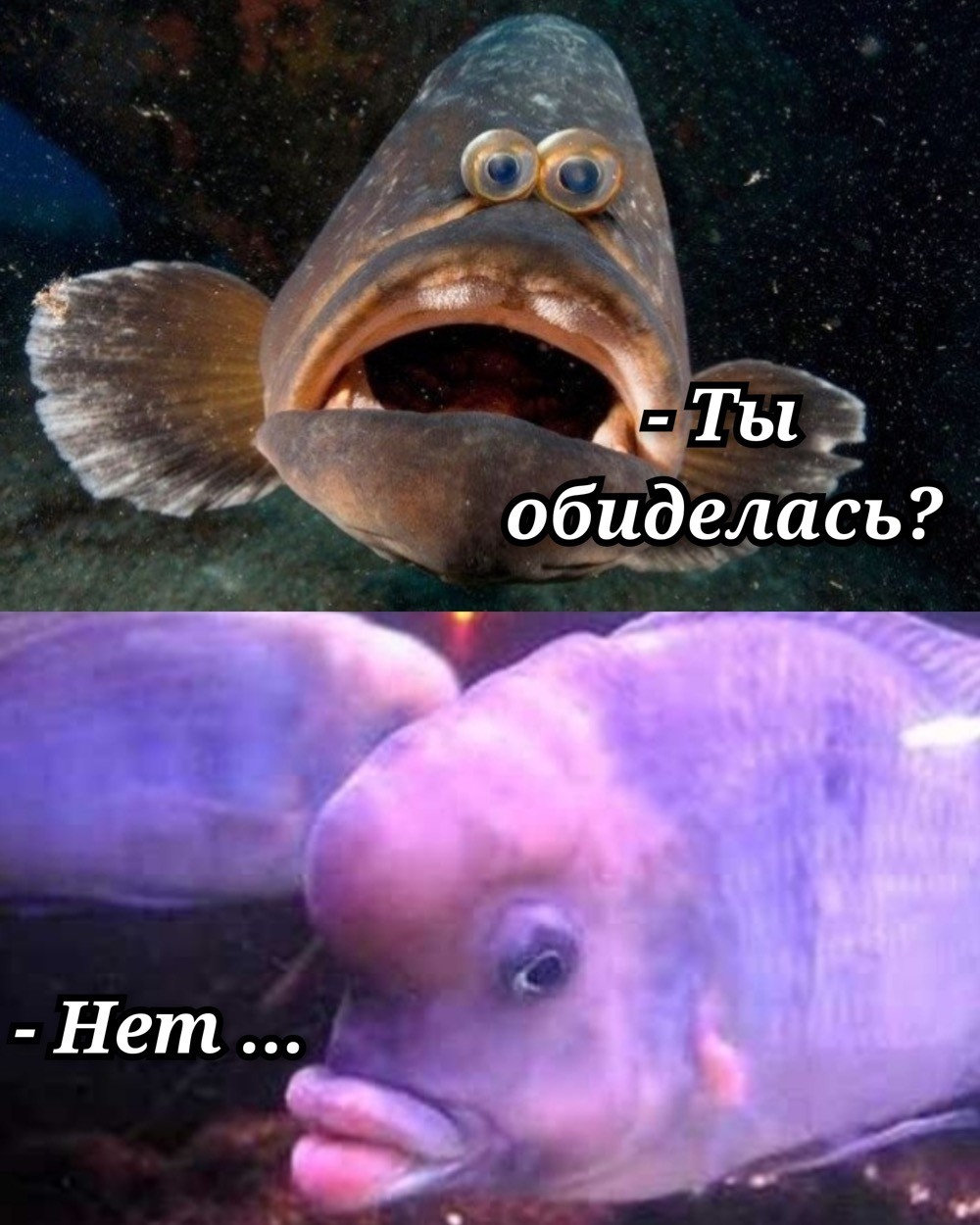 https://s00.yaplakal.com/pics/pics_original/3/7/3/20387373.jpg