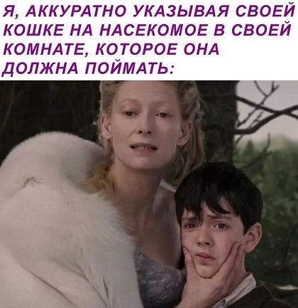 Отличного дня!