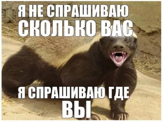 Картинки для деградации 169 (разной степени свежести)