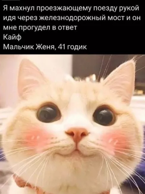 Картиночки, баянчики 07 апреля