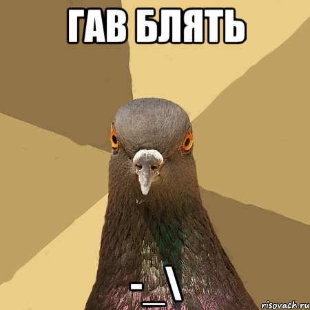 Женщины против существ мужского пола