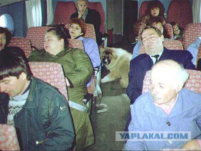 Как вести себя с хамами в самолете?