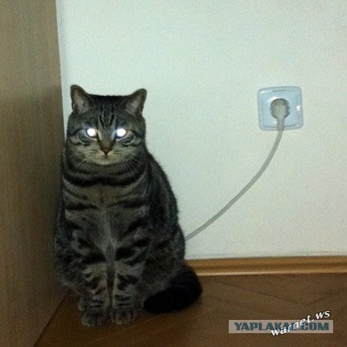 Немного позитива на пятницу