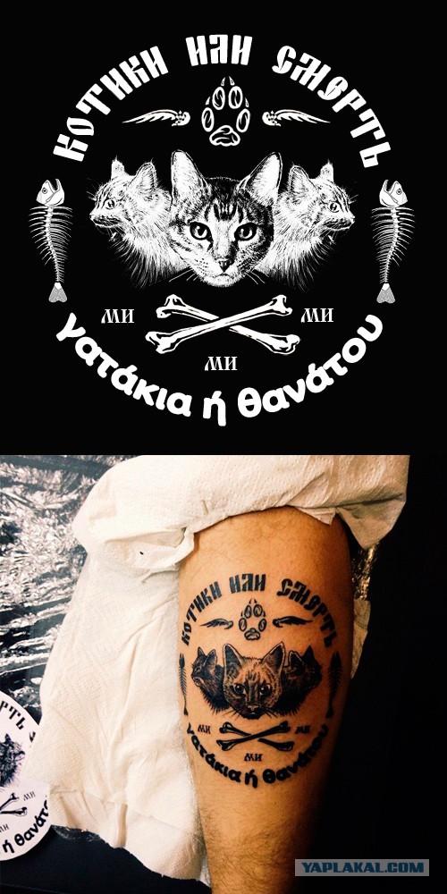 Котовторник 30.09.2014