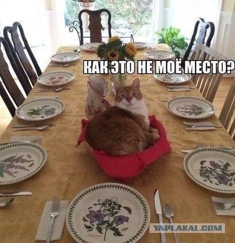 А вот и новые картинки!