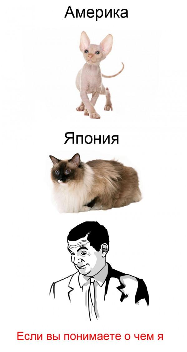 Если вы понимаете о чём я ;)