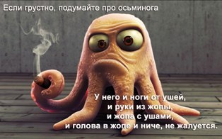 Весёлые открытки.....