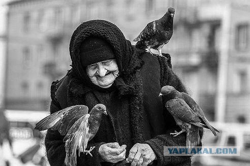 Дайте, я вас сейчас расцелую...