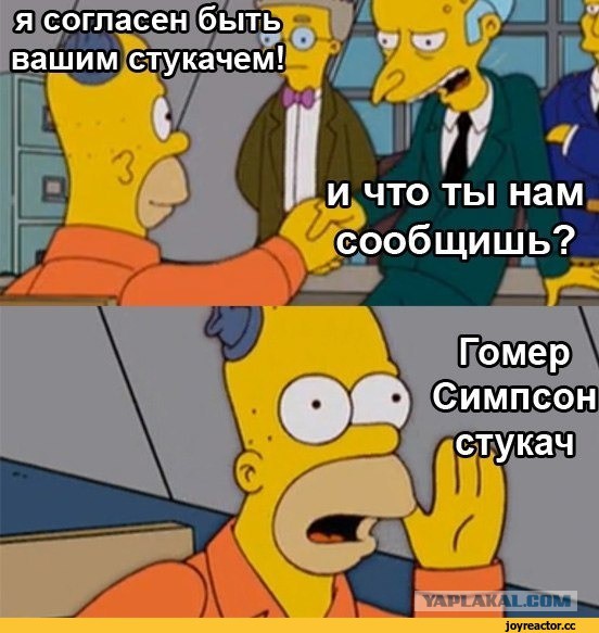 Депутаты бундестага посетили Донбасс