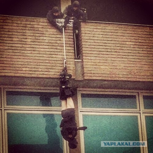 Разные картинки из сети