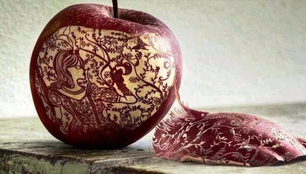 Подборка забавных картинок