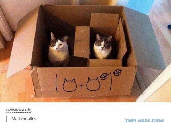 Немного юмора