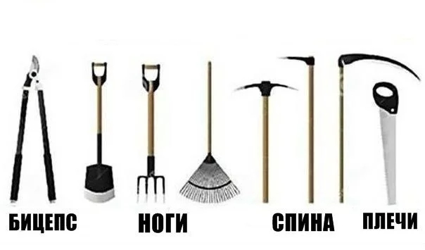 Интересные и веселые картинки