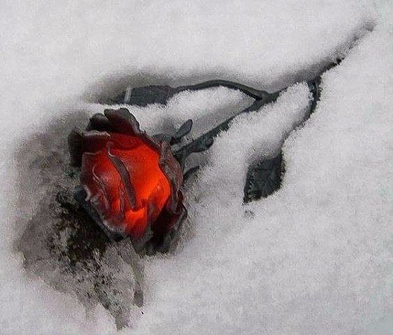 Подборка картинок