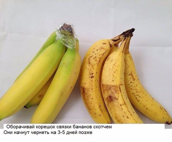 Подборка фото