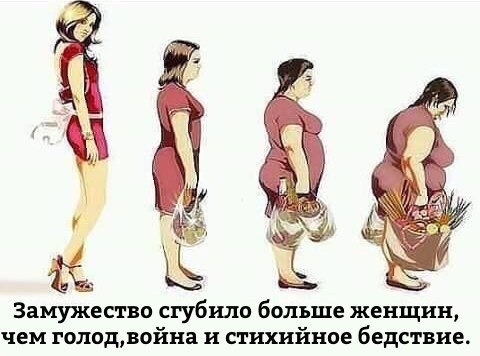 Куда заведет нас "эволюция"?