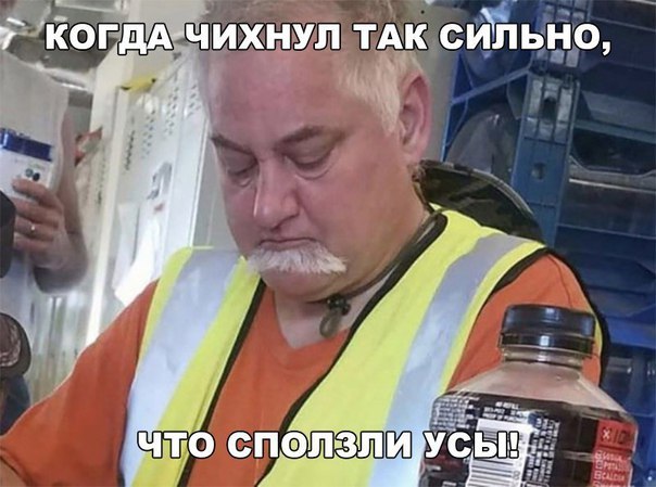 100 картинок для поднятия настроения!