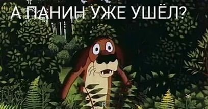 В Саранске мужчина изнасиловал собаку