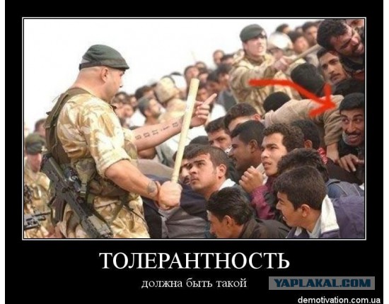 Напавшего на водителя детского автобуса задержали