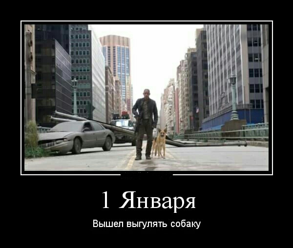Выжившим в Новогоднюю ночь посвящается…