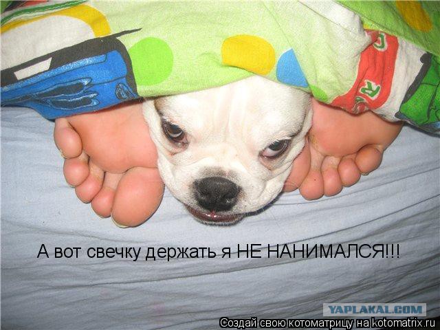 Алексей Панин: Уже жалею, что ввязался в перепалку с Максимом Галкиным