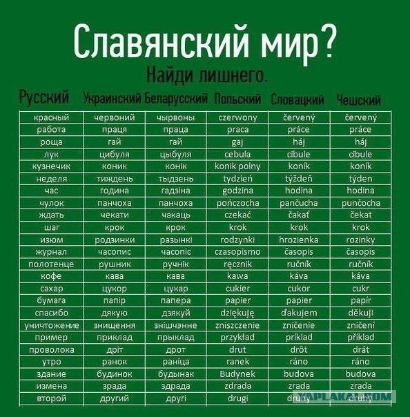 Вот такая милота появилась в беларуском городе Кобрин