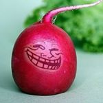 Яйцеклетки, на старт! За сперматозоидом - бегом марш!