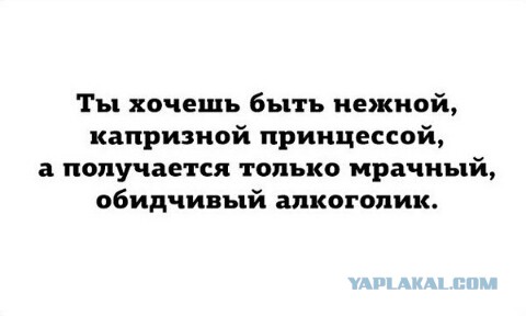 Я тебе говорил, что такое БЕЗУМИЕ!? Часть 3