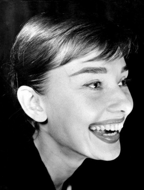 The special edition: Audrey Hepburn