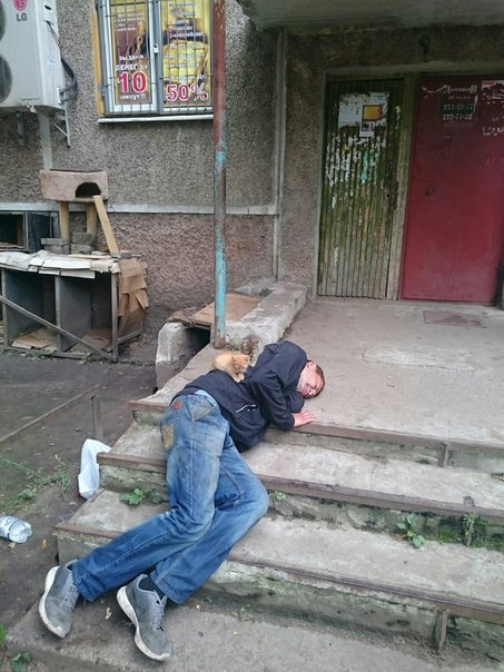 Соцсети - и смех и грех