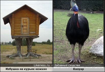 Исповедь импотента