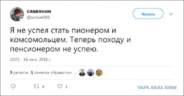 Прикольные комментарии и высказывания из Сети